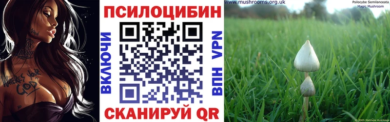 Псилоцибиновые грибы GOLDEN TEACHER  Керчь 